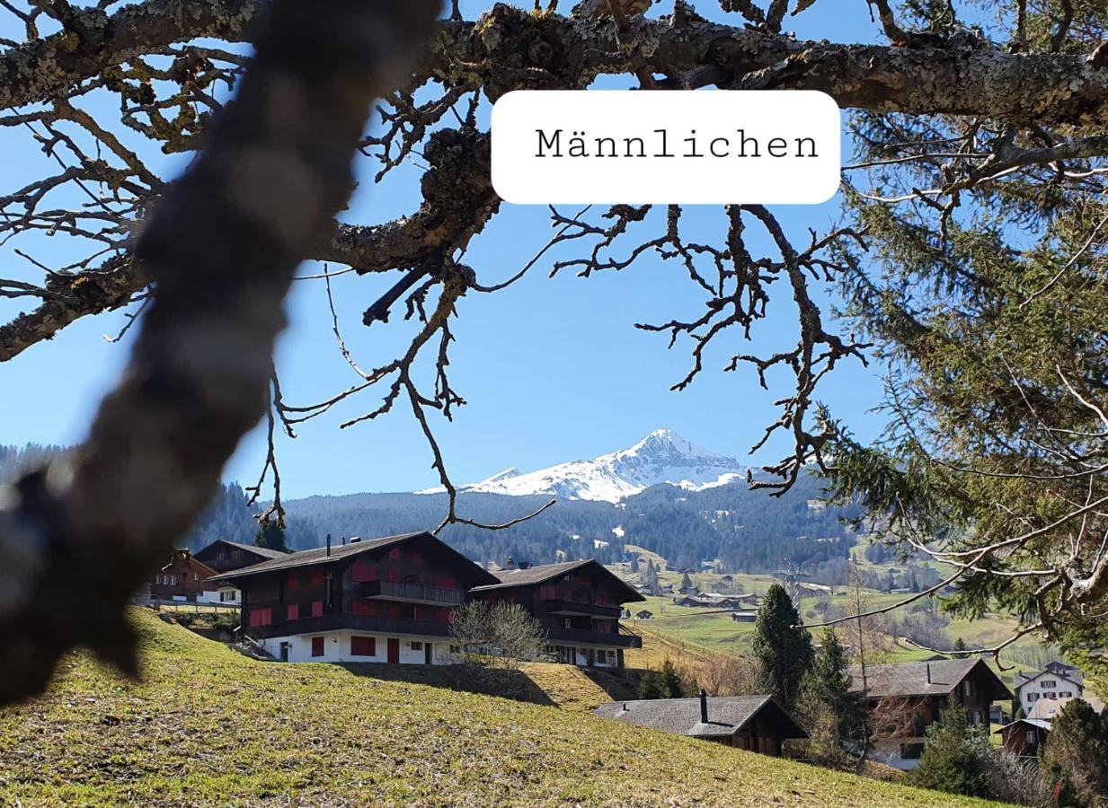 Waergistal Appartement Grindelwald